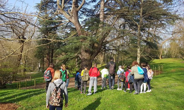 EN EL PARQUE DE CRISTINA ENEA