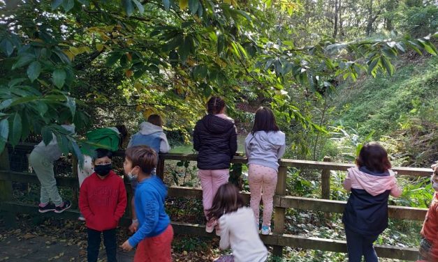 Los alumnos de primer ciclo en el monte Ulia