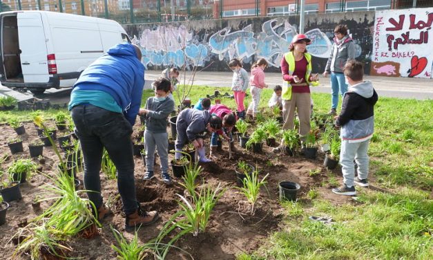 La campaña ‘Un árbol por Europa’ llega a Intxaurrondo Hegoa